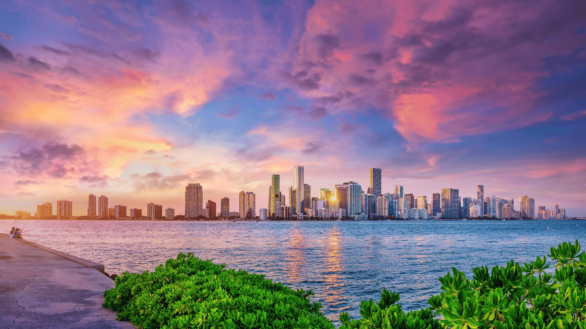 The Essential Miami Guide: Facts, Figures, and More